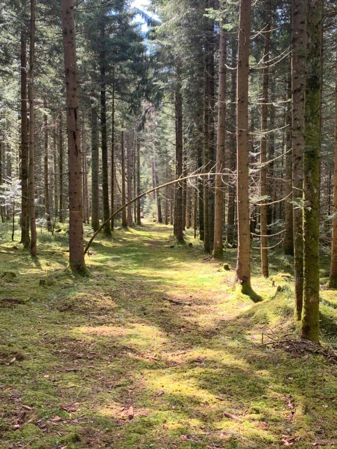 Ferienwohnung Tarahaus St. Georgen im Schwarzwald Exterior foto